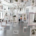 36a bienal de-sao-paulo-abre-suas-portas-neste-sabado,-no-ibirapuera