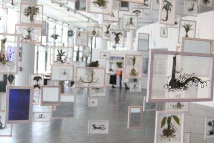 36a bienal de-sao-paulo-abre-suas-portas-neste-sabado,-no-ibirapuera