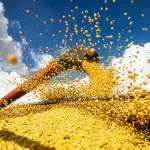 valor-da-producao-agricola-brasileira-recua-3,9%-em-2024,-mostra-ibge