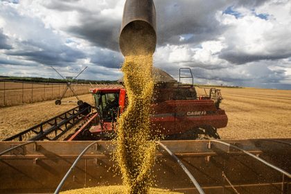 queda-no-preco-dos-alimentos-vai-permanecer,-diz-ministro