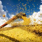 brasil-atinge-novo-recorde-com-350-milhoes-de-toneladas-de-graos