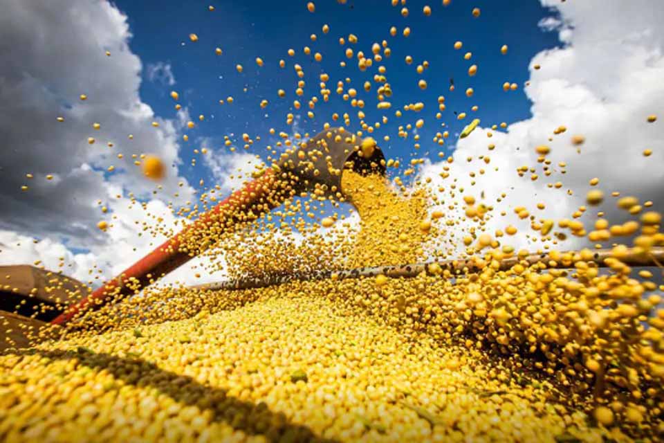 brasil-atinge-novo-recorde-com-350-milhoes-de-toneladas-de-graos