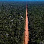 contrato-de-r$-5,9-milhoes-preve-modelo-de-gestao-ambiental-da-br-319-em-rondonia-e-amazonas
