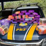 prf-apreende-62-tabletes-de-pasta-base-de-cocaina-em-fiscalizacao-na-br-364