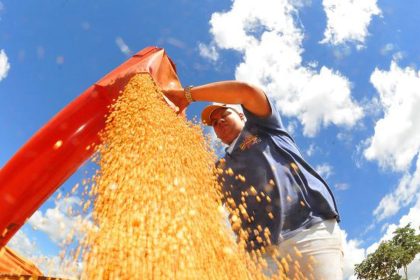 brasil-deve-ter-nova-safra-recorde-de-graos-em-2025/26,-diz-conab