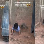 galinha