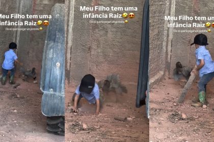 galinha