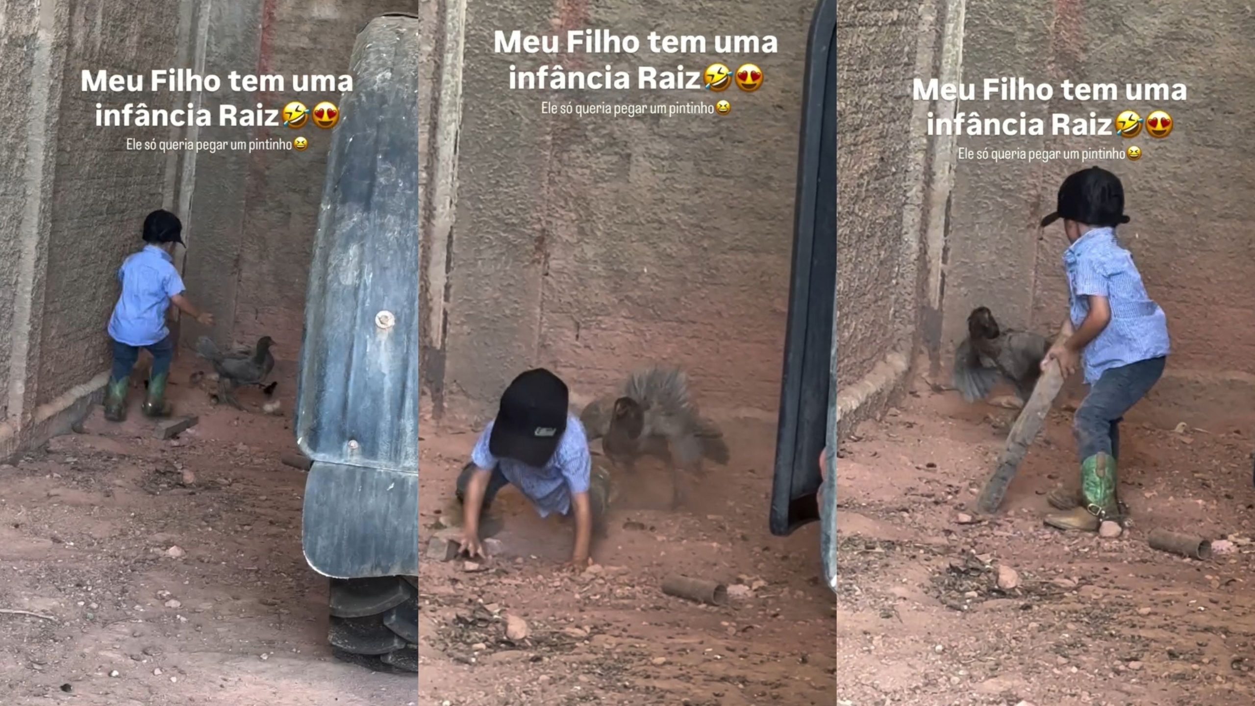 galinha